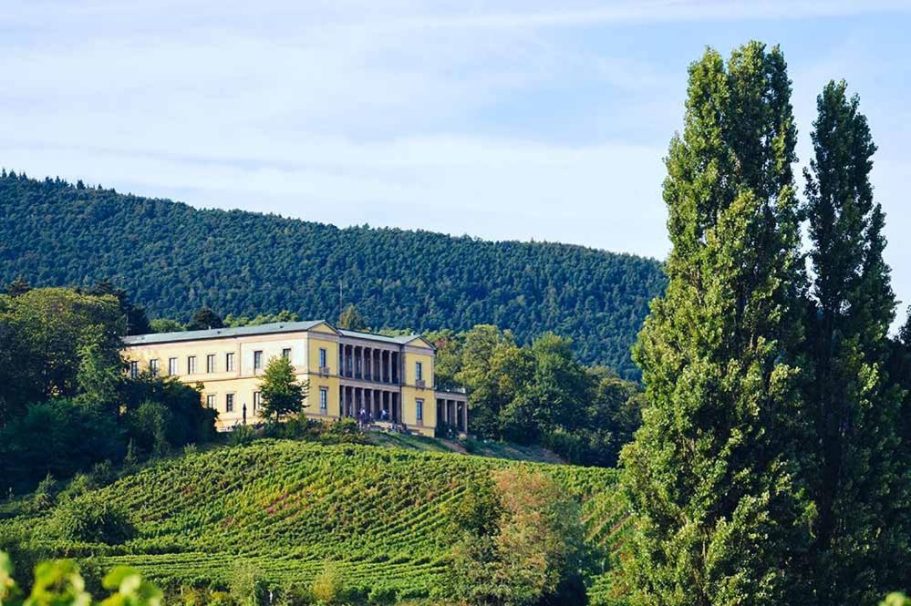 Pfalz-Dorfhaus Burrweiler Bagian luar foto